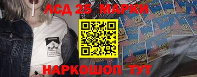 прущие грибы Будённовск