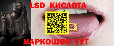 прущие грибы Будённовск