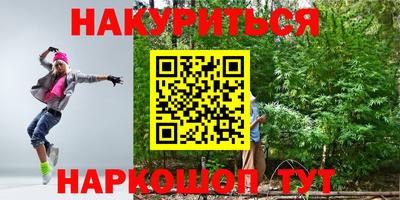 прущие грибы Будённовск