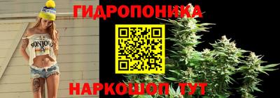 прущие грибы Будённовск