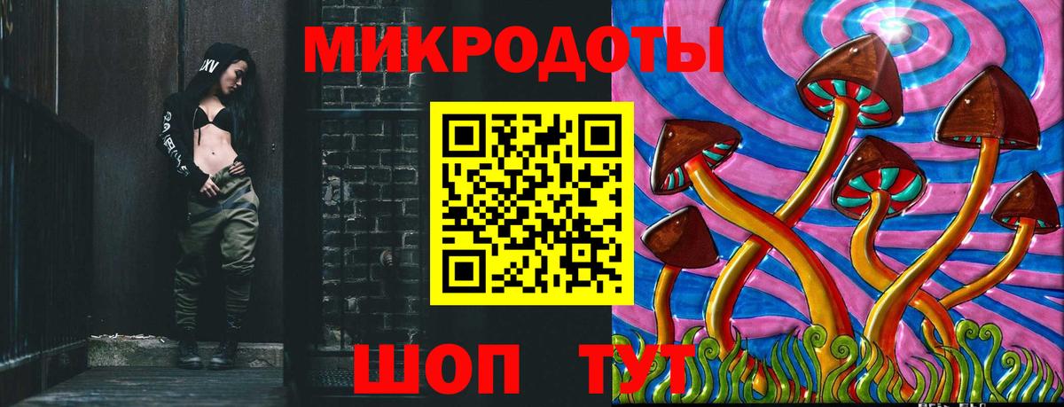 Псилоцибиновые грибы Cubensis Аксай
